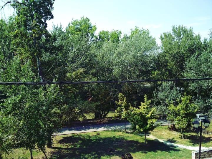 Larisa, Park View Apartment Экстерьер фото